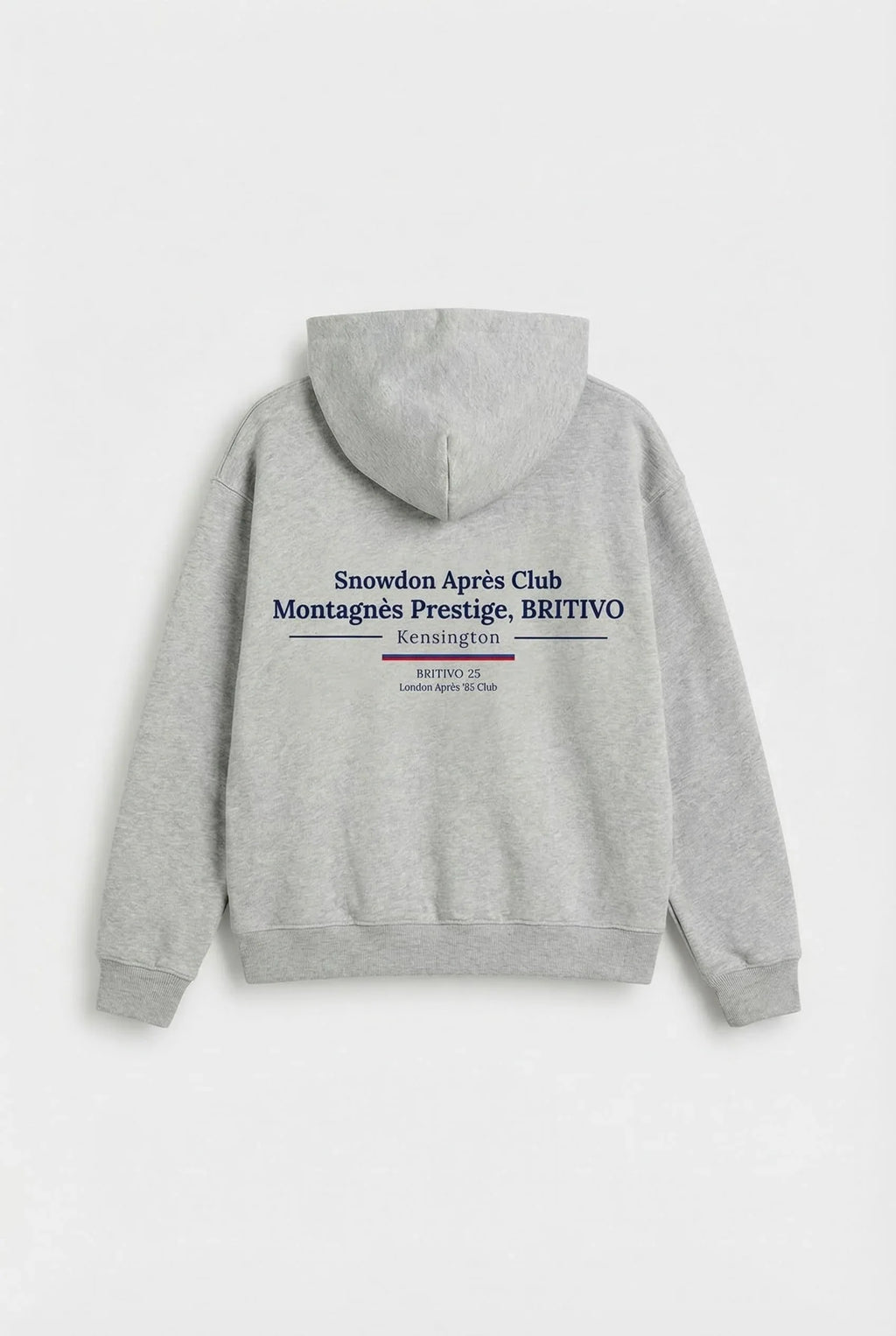 gray_hoodie_back - BRITIVO Official Online Store