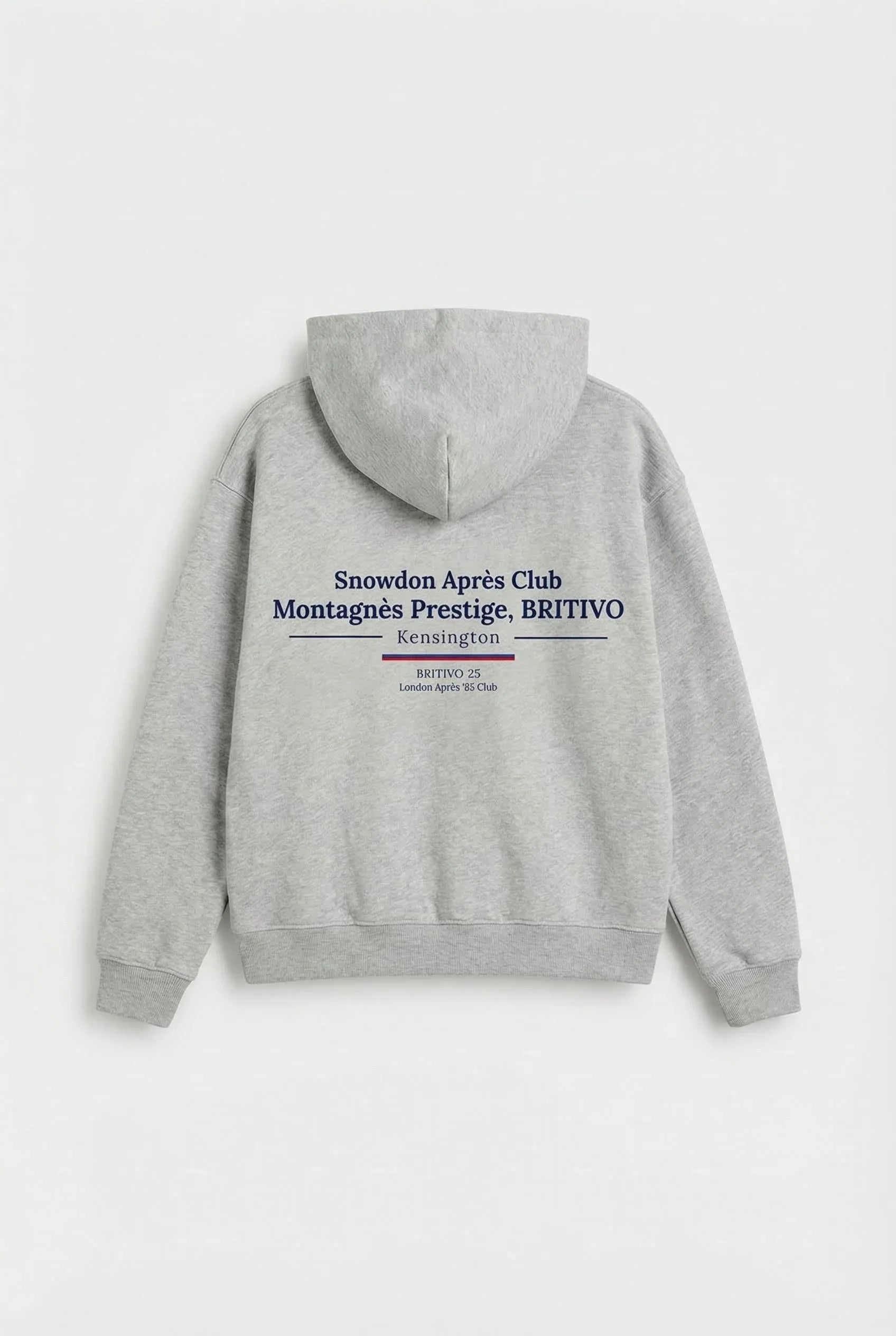 gray_hoodie_back - BRITIVO Official Online Store